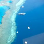 How Open Innovation Could Save the Great Barrier Reef