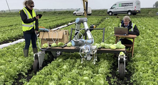 Agri-food Robot
