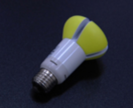 bulb3-small.jpg