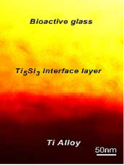 bioactive_glass.png