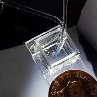 3D-Printed Tissue Keeps Cells In Place