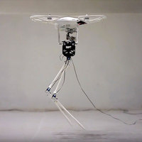 Aerial Biped Robot Walks with a Hovering Head