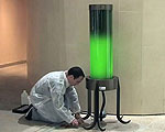 Algae Lamp Absorbs CO2 as it Glows