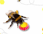 Bee Saver is a First-Aid Kit for Bees