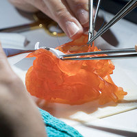 BioMimics 3D-Printed Organs for Testing and Training
