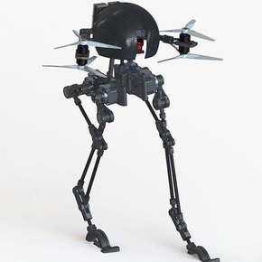 Bird-Inspired Leonardo Drone