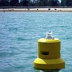 Buoys Monitor Water Quality in Real Time