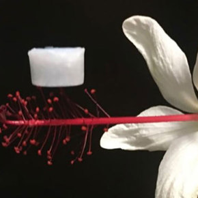 Ceramic Aerogel Withstands Extreme Heat