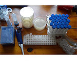 DIY CRISPR Kit Encourages Home Biohacking