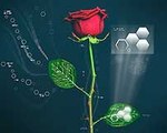 Electronic Plants Could Revolutionize Green Energy