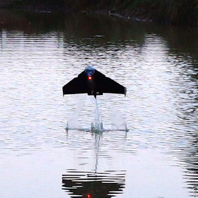 Flying Fish Robot Powered by Water