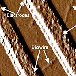 Genetically Modified Bacteria Build Nanowires