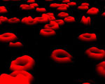 Growing Stem Cells from Blood Cells
