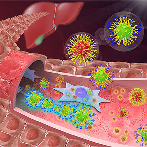 Hairy Nanoparticles Evade the Immune System