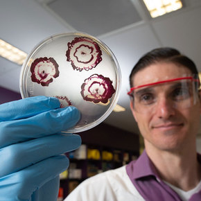 Hybrid Antibiotic Breaks Through Biofilms