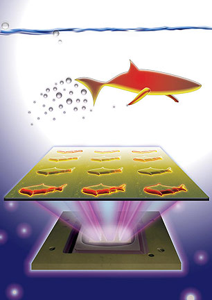 3D-Printed Mircofish Detect and Clean Up Toxins