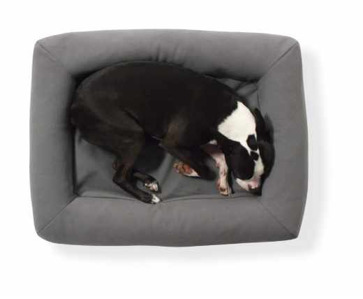 Caper Dog Bed Gives Pets a Better Sleep