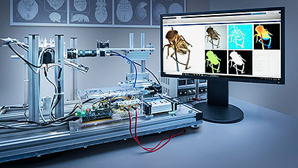 Insect Scanner Captures Digital Insect Specimens