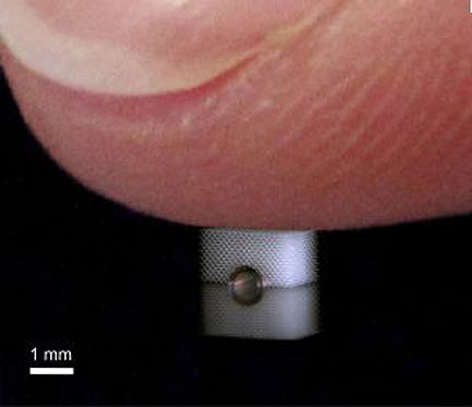 Invisibility Cloak Concept Blocks Objects from Touch
