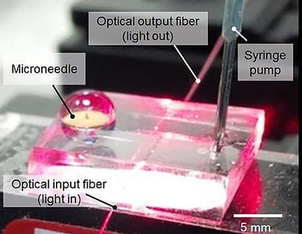 Microneedle Patch Monitors Blood Painlessly