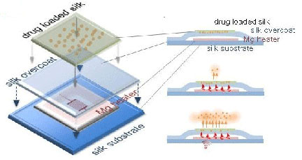 Remote-Controlled Chip Treats Staph with Heat