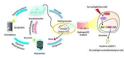 Smartphone-Controlled Insulin Dispensing Cells