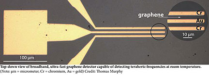 Terahertz Detector Could Lead to Safer Medical Imaging