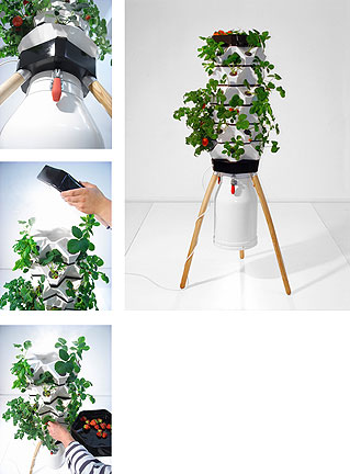 Vertical Planter Feeds Plants with Fog