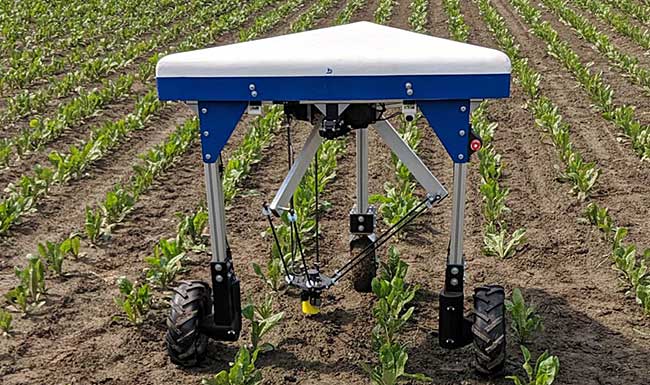 Weed-Pulling Robot Could Eliminate Herbicides