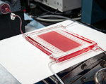 Microfluidic Device Mimics the Lungs for Safer Treatment
