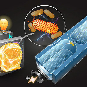 MIT Device Identifies lectricity-Producing Bacteria