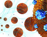 Nanosponges Help Fight Superbugs