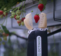 Octinion Strawberry-Picking Robot