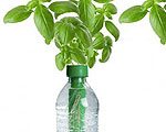 Petomato Transforms Plastic Bottles into Gardens