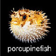 Porcupinefish Spines Inspire Sturdy Water Repellant