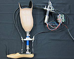Prosthetic Ankle Adjusts for the Terrain Ahead