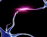 Restorative Nerve Gel Could Prevent Paralysis
