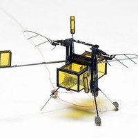 RoboBee Can Now Explode Out of the Water