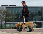 Sensor-Equipped Harness Monitors Guide Dog Stress