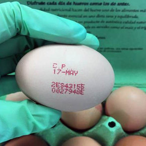 Spectral Signatures Classify Eggs