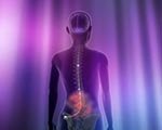 Spinal Cord "Pacemaker" controls Chronic Pain