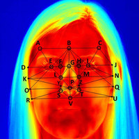 Thermal Imaging Detects Mental Stress