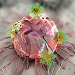 Tumor Patch Fights Cancer Three Ways