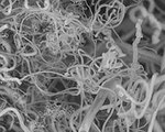 Turning CO2 to Carbon Nanofibers