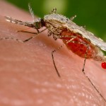 Open Innovation and the Fight against Malaria