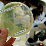 Open Innovation Hub to Combat Bacteria Threat