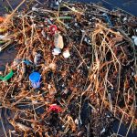 Can Open Innovation Keep Plastics Out of Our Oceans?