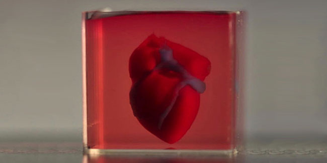 3D Printed Heart