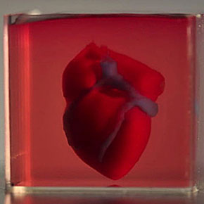 Scientists Print First 3D Heart with Patient's Cells
