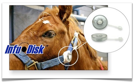 Infu-Disk™-Equine subpalpebral lavage.jpg